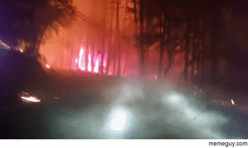 Driving through a forest fire at night looks like a hell-scape