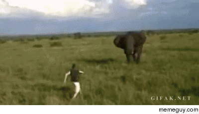 Drunk man charges an elephant