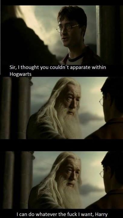 Dumbledore doesnt sugarcoat it