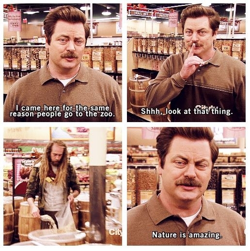 Easily the best Ron Swanson moment