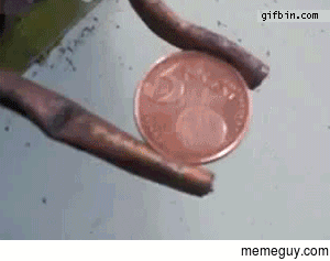 Electrocuting a Coin