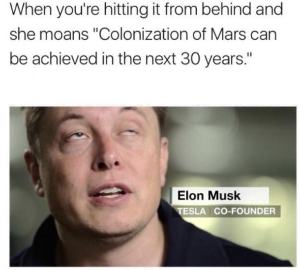 Elon Musks fantasy