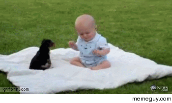 Epic battle puppy vs baby