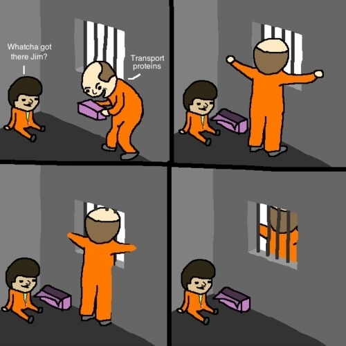 Escaping a cell