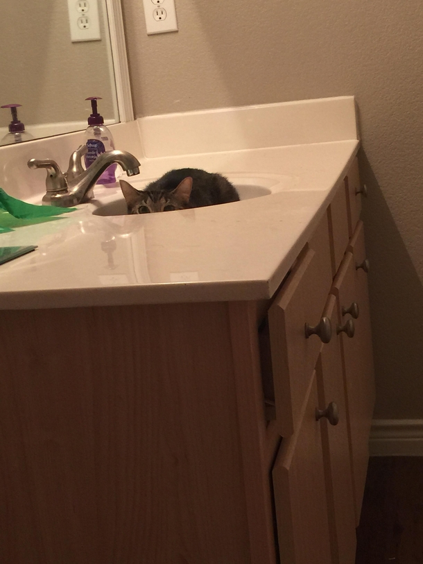 Every night while going to the bathroom