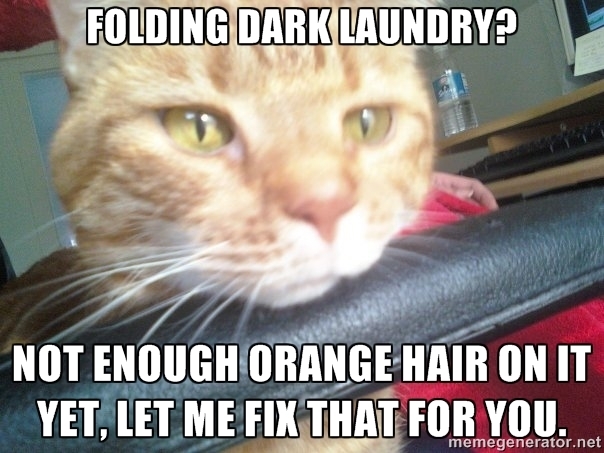 Every single time I do laundry