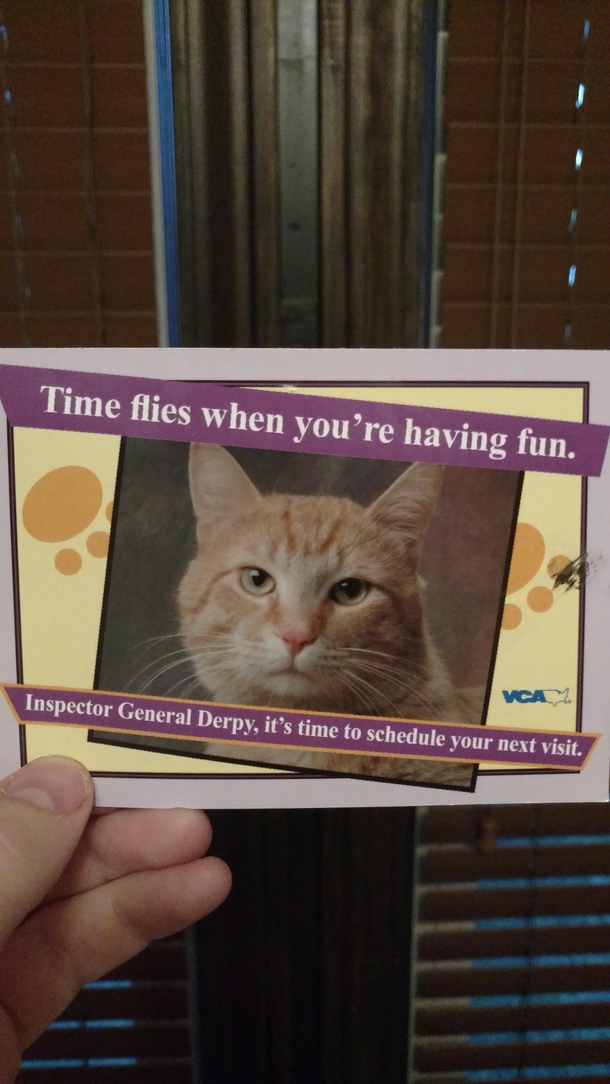 Every year we look forward to receiving our yearly check up reminder card from the vet