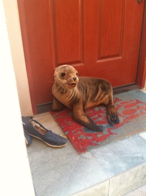 Excuse me do you have a moment to talk about our lord Poseidon