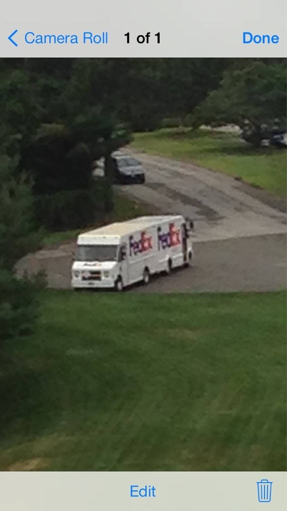 FedEx truck mitosis in telophase