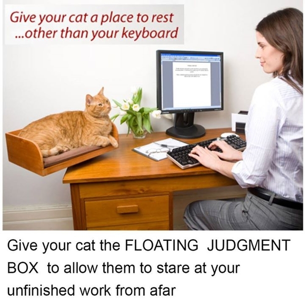 Floating judgment box