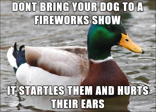 For all you dog owners on th of July I see it every year
