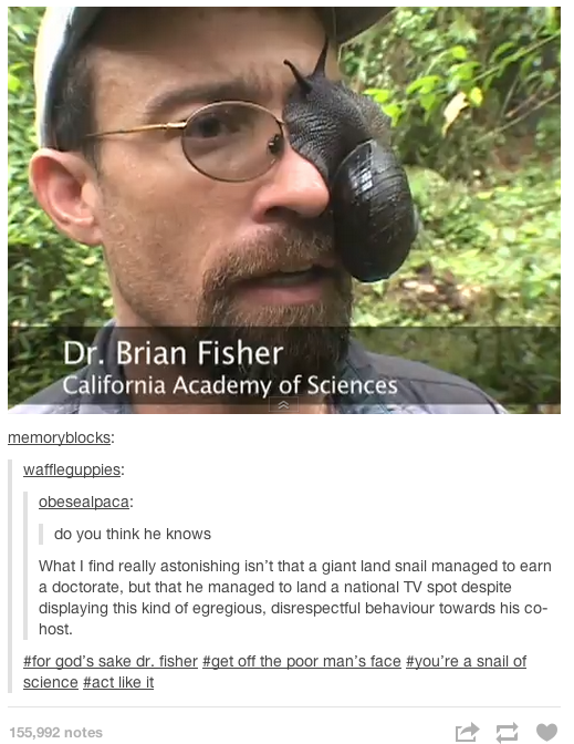For gods sake Dr Fisher