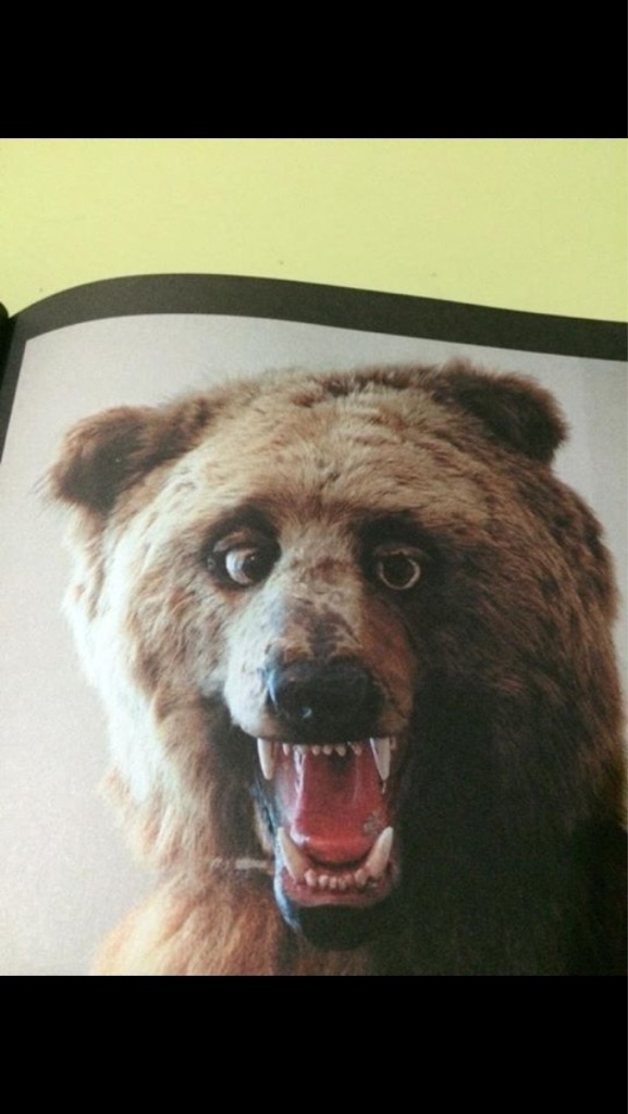 Friend got a book called Crap Taxidermy this is my favorite