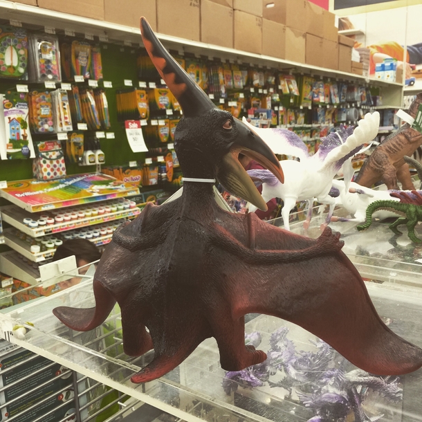 From this angle this pterodactyl toy looks like one of those trenchcoat nudist flashers