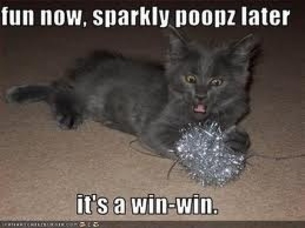 [Image: fun-now-sparkly-poops-later-its-a-win-win-6989.jpg]