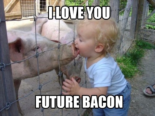 Future Bacon