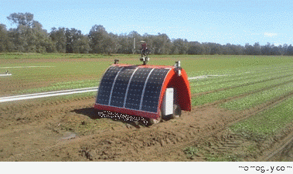 Future of Farming Ladybird Robot