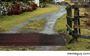Getting past the cow grate