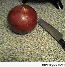Getting the arils out of a pomegranate