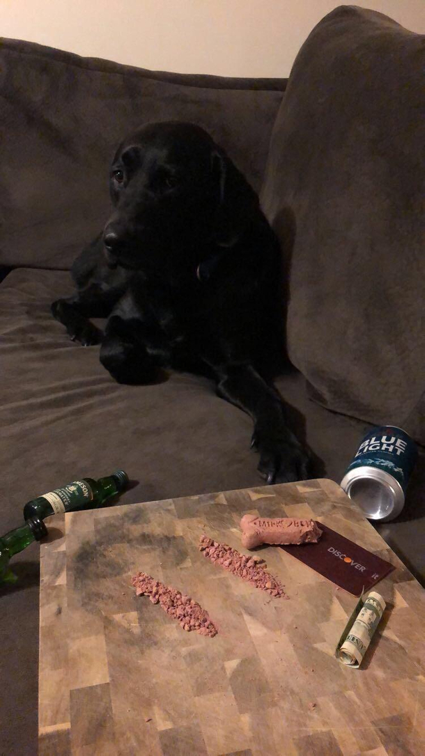 Girlfriend left me and the dog home alone for the weekend First thing I sent her