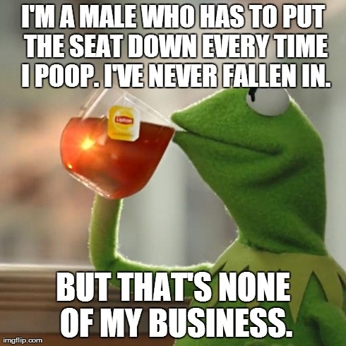 Girls complain about falling in the toilet all the time