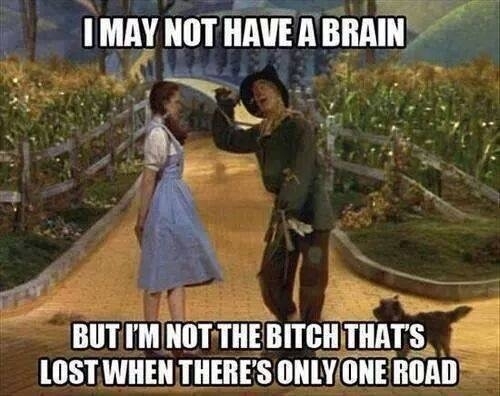 God dammit Dorothy