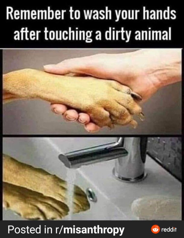 Good Hygiene