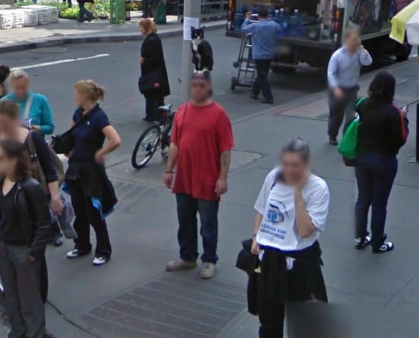Google Maps - Guy with cat  -