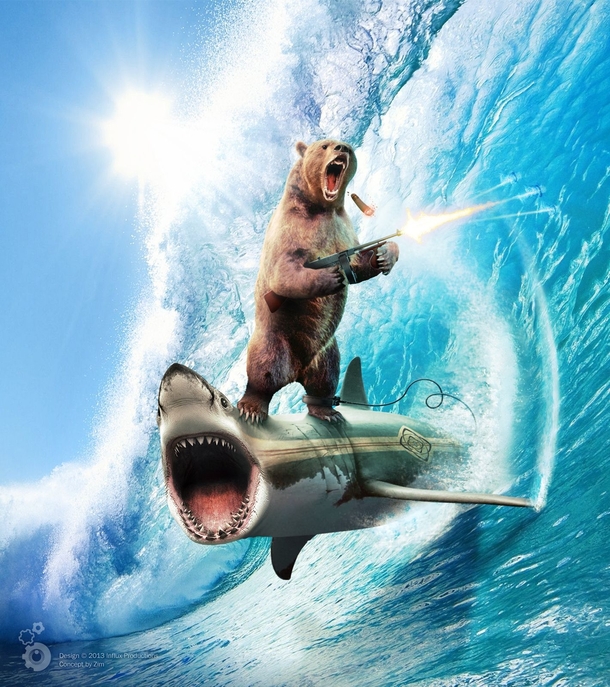 Googled shark surfing was not disappointed