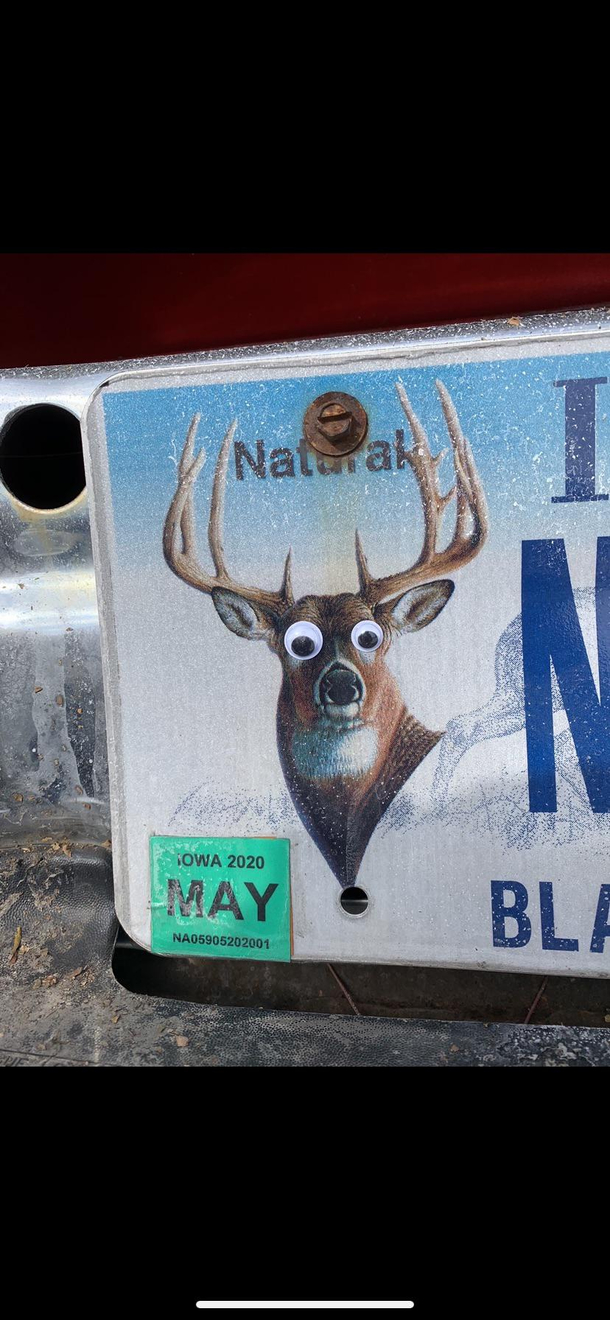 Googly eyes I put on my brothers license plate