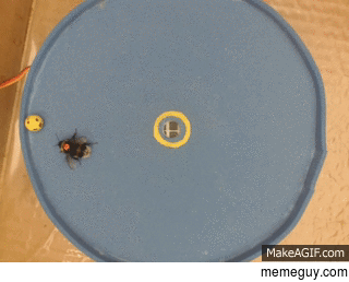Gooooal Bumblebee Learns to Play Soccer