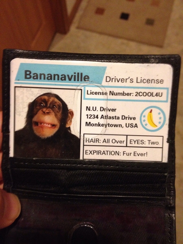 Got pulled over today Forgot I had this in my wallet covering my real license Mr Policeman was not amused