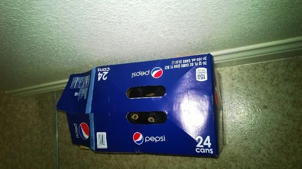 Grab a Pepsi lose a finger