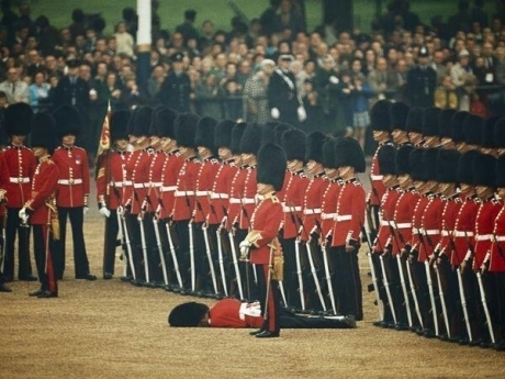 Guard faints during ceremony other guards remain unwaiveringly British