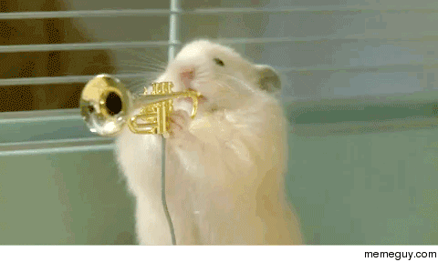 Hamsters playing musical instruments