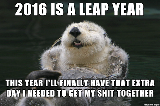 Happy New Year from Optimistic Otter