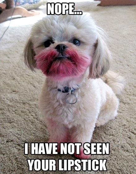Have you seen my Lipstick