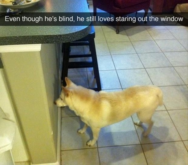 He is blind