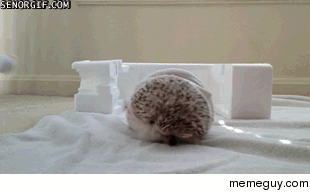 Hedgehog is Miley Cyrus in Wrecking Ball