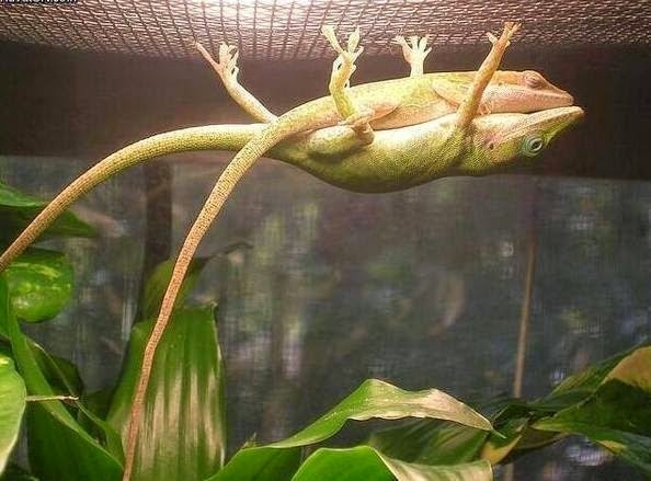 holding up his GF so she can take a nap