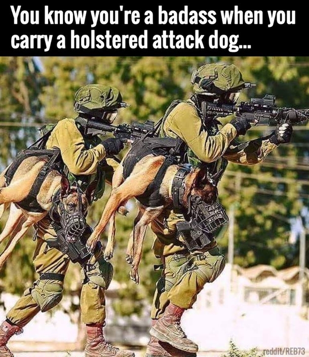 Holstered Attack Dogs