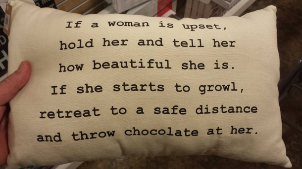 Homegoods pillow on comforting women