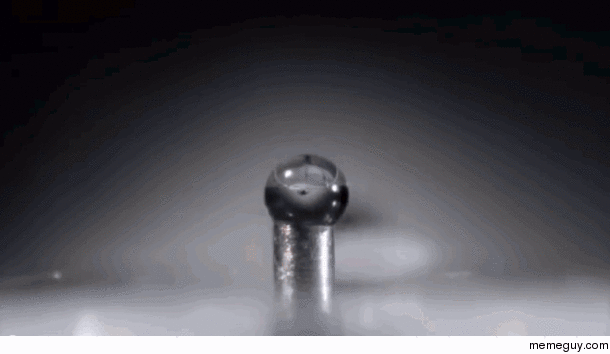 How ants drink from a water droplet