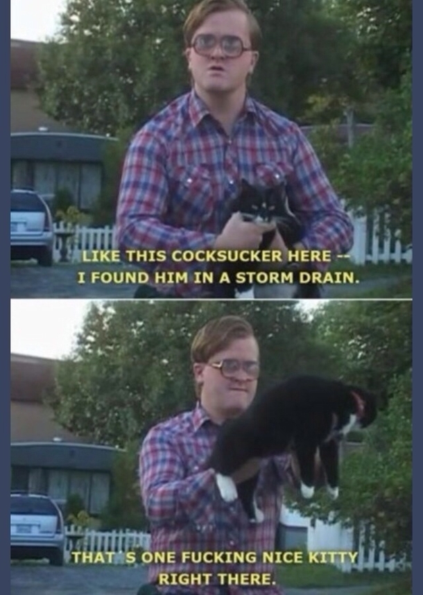 How I view most Redditors and their cats