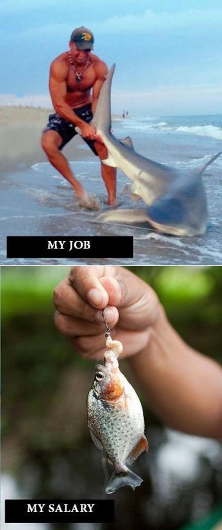 How my salary works