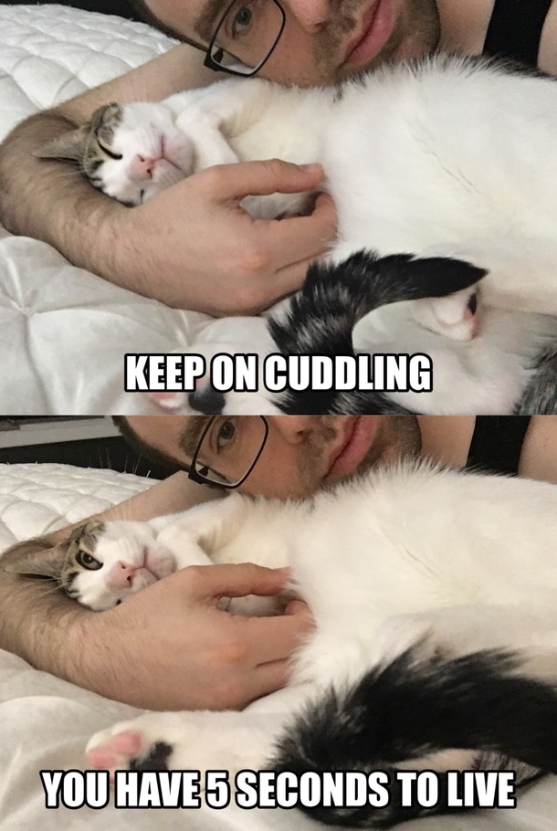 How to tell if it Is it safe for the cuddles
