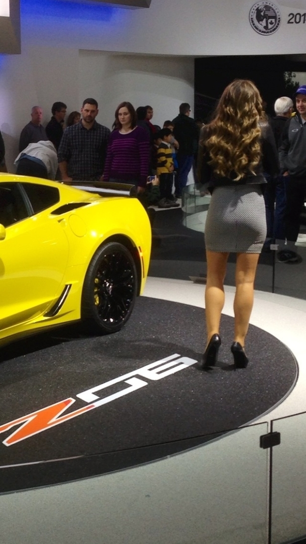 I also got a picture of the new Corvette at the auto show today