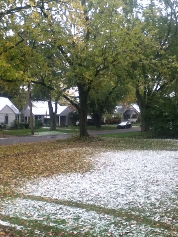 I cant decide whether its Autumn or winter this morning Thats Michigan weather for you