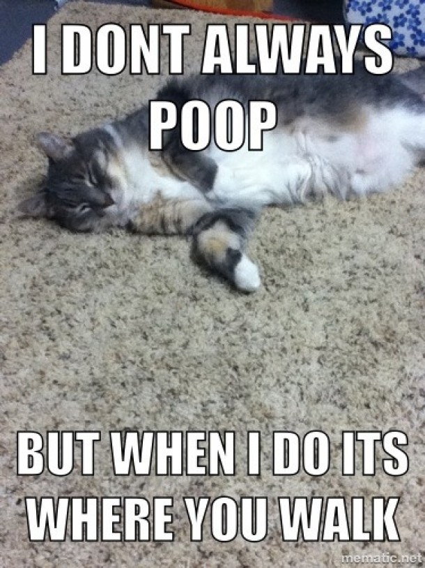 I dont always poop