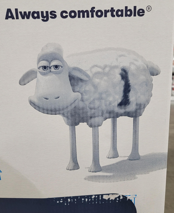 I dont like how this sheep is looking at me